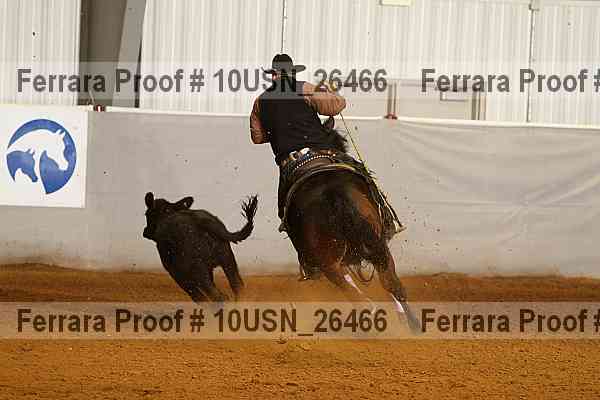 Proof 10usn_26466