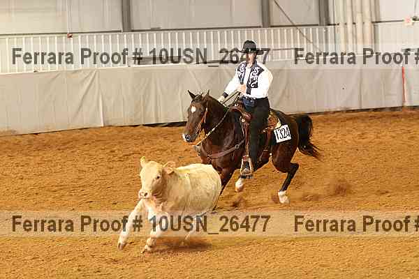 Proof 10usn_26477