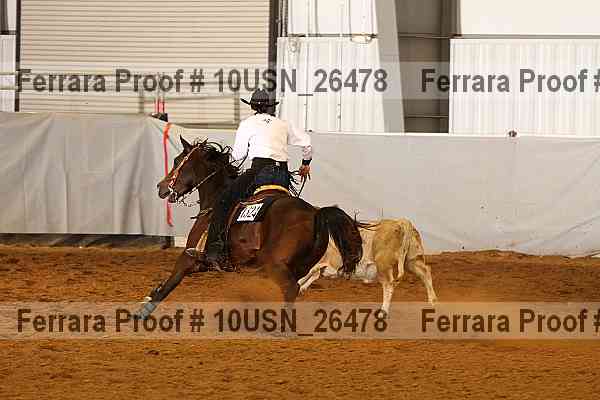 Proof 10usn_26478