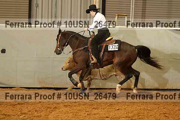 Proof 10usn_26479