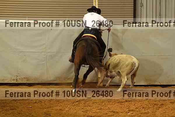 Proof 10usn_26480