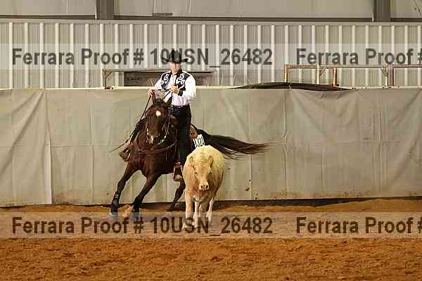 Proof 10usn_26482