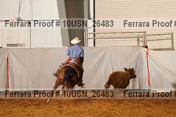 Proof 10usn_26483