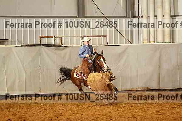 Proof 10usn_26485