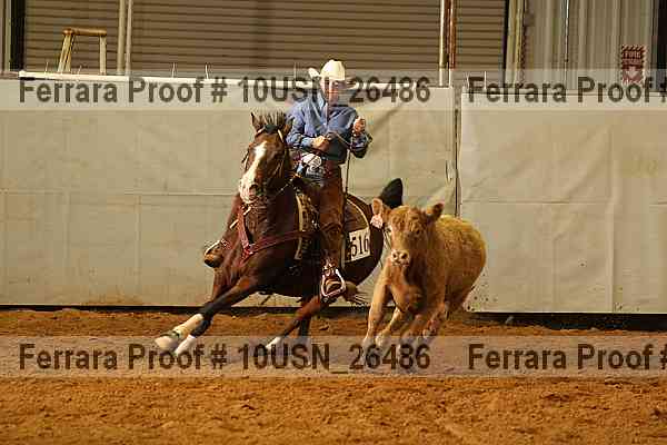 Proof 10usn_26486