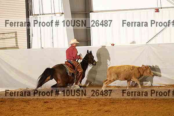 Proof 10usn_26487