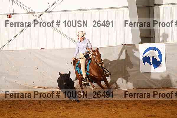 Proof 10usn_26491