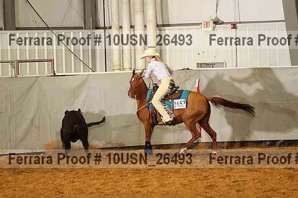 Proof 10usn_26493