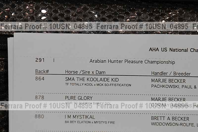 Proof 10usn_04895