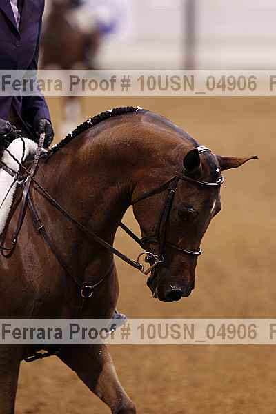 Proof 10usn_04906