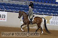 10usn_04908 proof