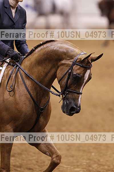 Proof 10usn_04973