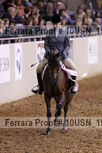 Proof 10usn_19434