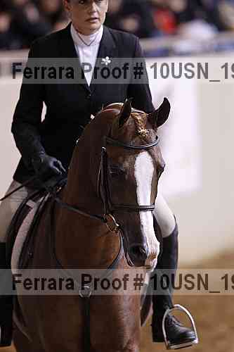 Proof 10usn_19451
