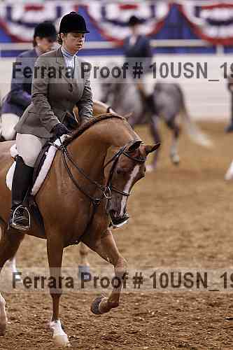 Proof 10usn_19465