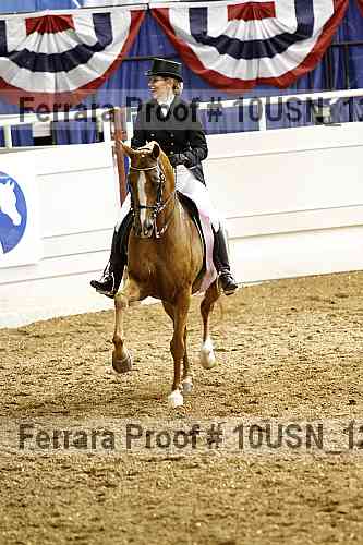Proof 10usn_12260