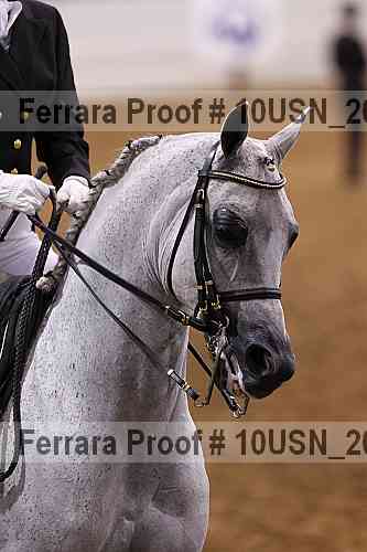 Proof 10usn_20709