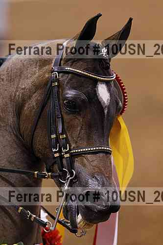 Proof 10usn_20764