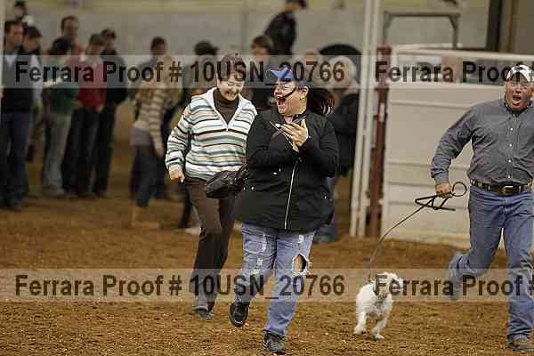Proof 10usn_20766