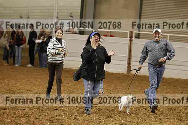 Proof 10usn_20768