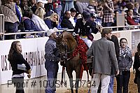 10usn_20784 proof