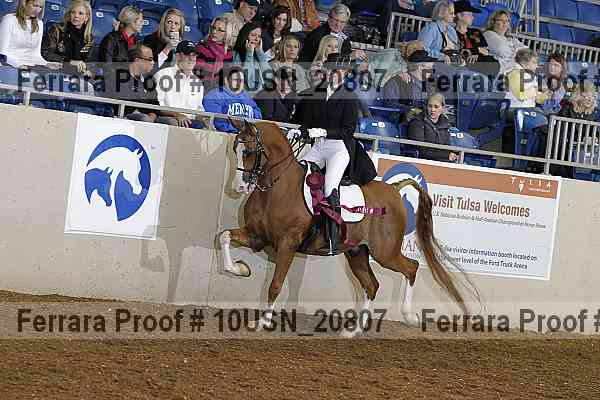 Proof 10usn_20807