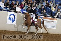 10usn_20807 proof