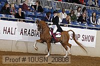 10usn_20808 proof