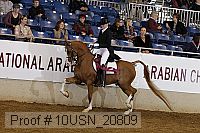 10usn_20809 proof