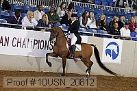 10usn_20812 proof