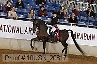 10usn_20817 proof