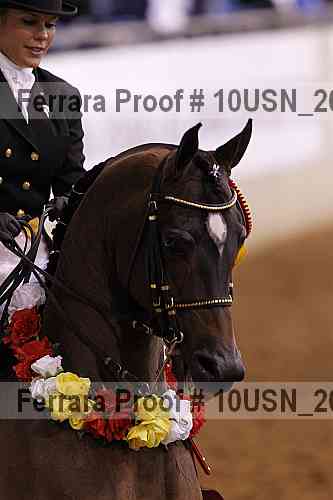 Proof 10usn_20835