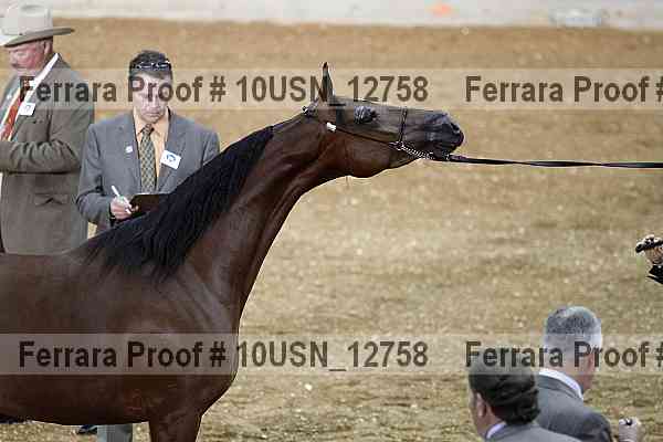 Proof 10usn_12758