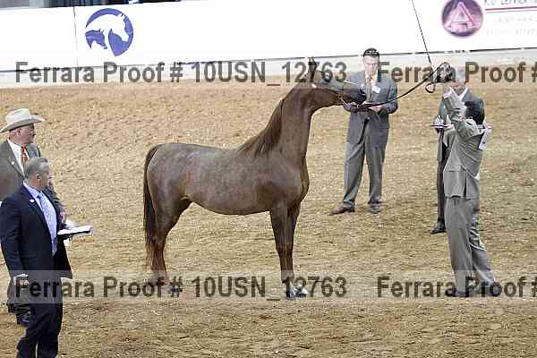 Proof 10usn_12763