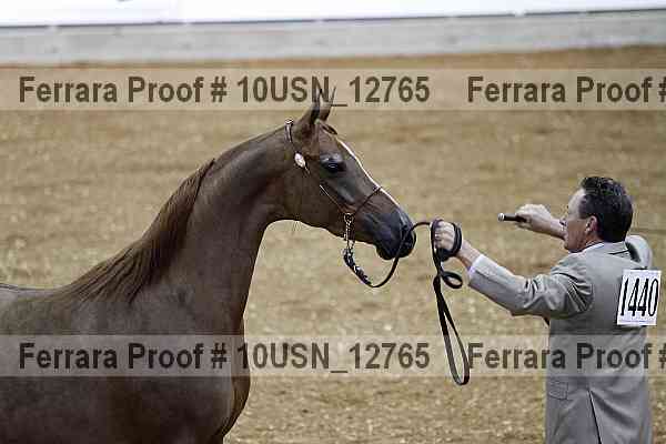 Proof 10usn_12765