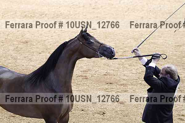 Proof 10usn_12766
