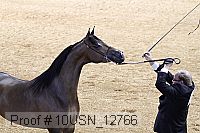 10usn_12766 proof