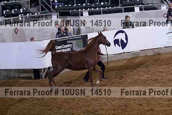 Proof 10usn_14510