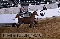 10usn_14510 proof