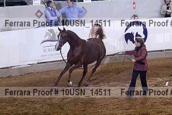 Proof 10usn_14511