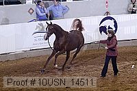 10usn_14511 proof