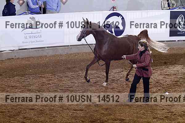 Proof 10usn_14512