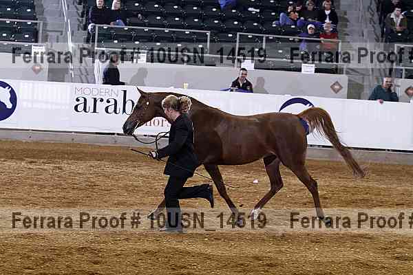 Proof 10usn_14519