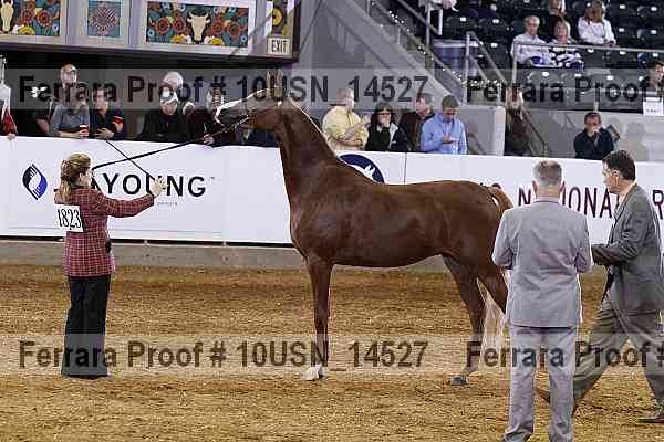 Proof 10usn_14527