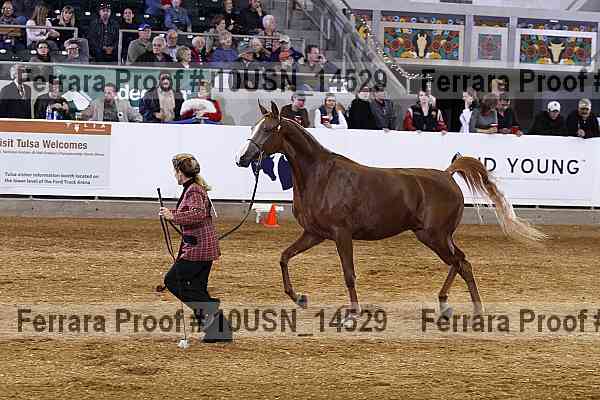 Proof 10usn_14529