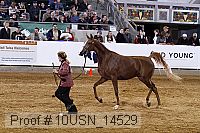 10usn_14529 proof