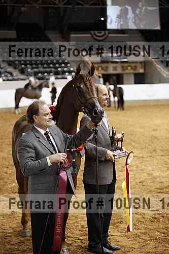 Proof 10usn_14536