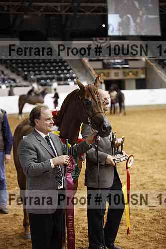 Proof 10usn_14538