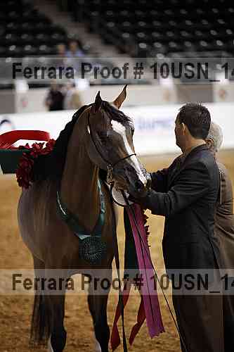 Proof 10usn_14545
