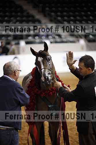 Proof 10usn_14546